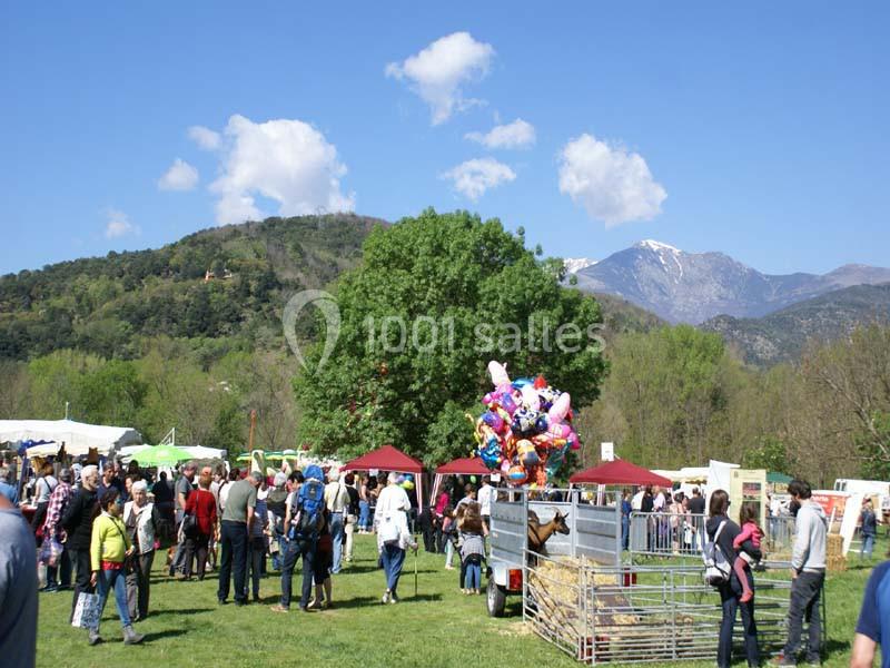 Location salle Arles-sur-Tech (Pyrénées-Orientales) - Centre Pleine Nature Sud Canigo #21