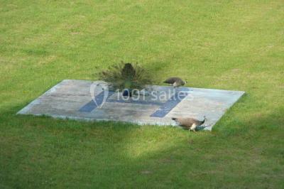 Location salle Saint-Maixant (Creuse) - Château de Saint Maixant #21