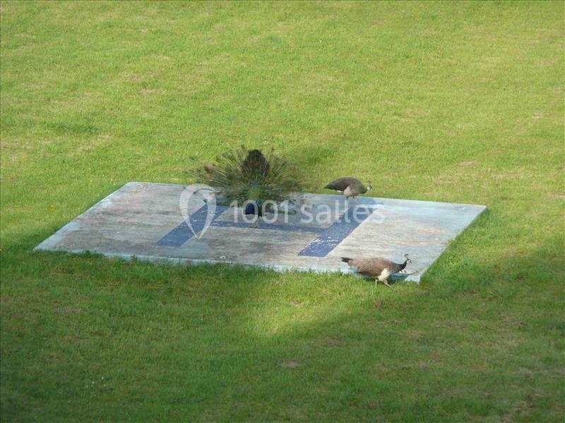 Location salle Saint-Maixant (Creuse) - Château de Saint Maixant #21