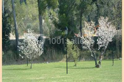 Location salle Villesèque-des-Corbières (Aude) - Salle Louis Foulquier #7