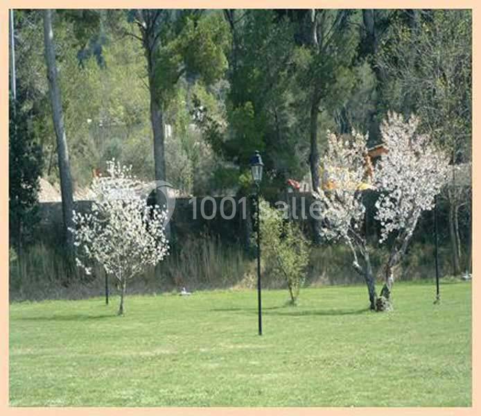 Location salle Villesèque-des-Corbières (Aude) - Salle Louis Foulquier #7