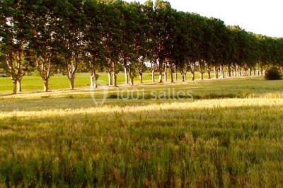 Location salle Conqueyrac (Gard) - Domaine De Ceyrac #16