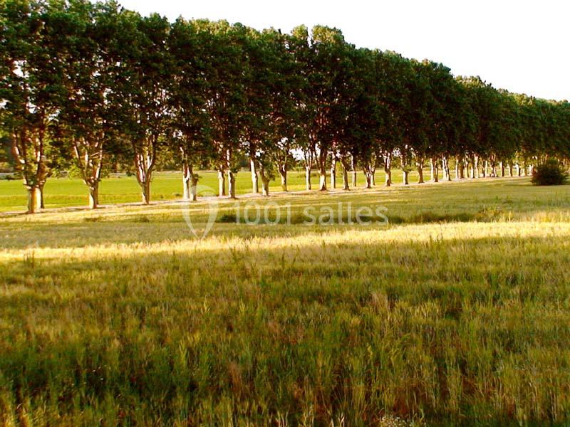 Location salle Conqueyrac (Gard) - Domaine De Ceyrac #7