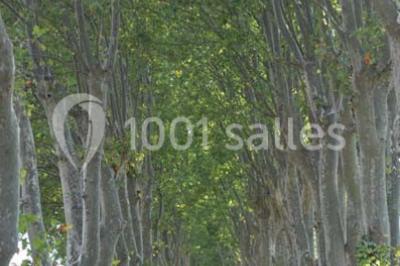 Location salle Conqueyrac (Gard) - Domaine De Ceyrac #16