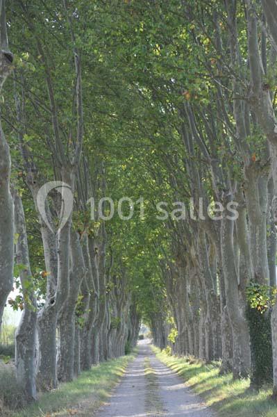 Location salle Conqueyrac (Gard) - Domaine De Ceyrac #8