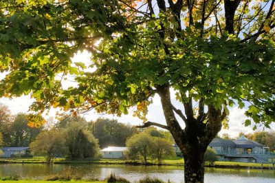 Miniature Location salle Merdrignac (Côtes-d'Armor) - Val de Landrouet #9 Salle de bain moderne avec lavabo, miroir, toilettes suspendues et douche en arrière-plan.