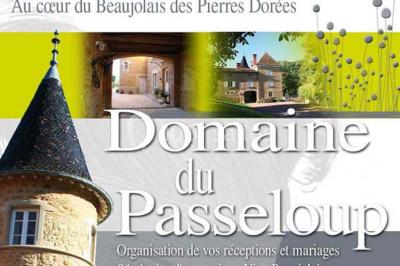 Allée rouge bordée de plantes et de panneaux, menant à une maison en pierre sous un ciel dégagé.