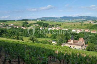 Allée rouge bordée de plantes et de panneaux, menant à une maison en pierre sous un ciel dégagé.