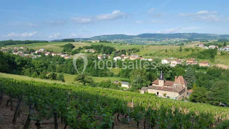 Vue d'un paysage rural avec des vignes au premier plan, un village et des collines verdoyantes à l'arrière-plan.