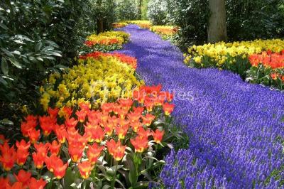 Location salle Paris 12 (Paris) - Les Magnolias #13