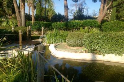 Location salle Le Lavandou (Var) - Le Mini Golf Exotique Du Lavandou #15