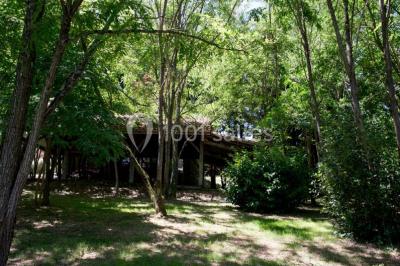 Location salle Génébrières (Tarn-et-Garonne) - Domaine Du Longchamps #17