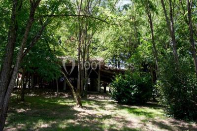 Location salle Génébrières (Tarn-et-Garonne) - Domaine du Longchamps #12
