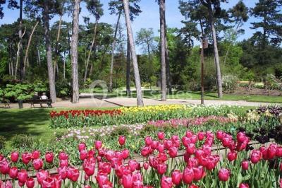 Location salle Paris 12 (Paris) - Les Magnolias #10