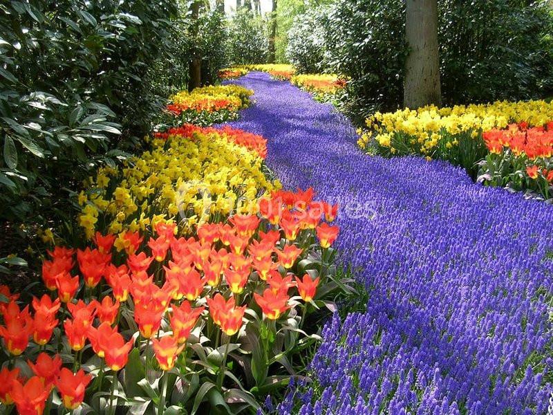 Location salle Paris 12 (Paris) - Les Magnolias #4