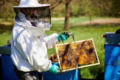 Salle de la Gare - Sébastien North