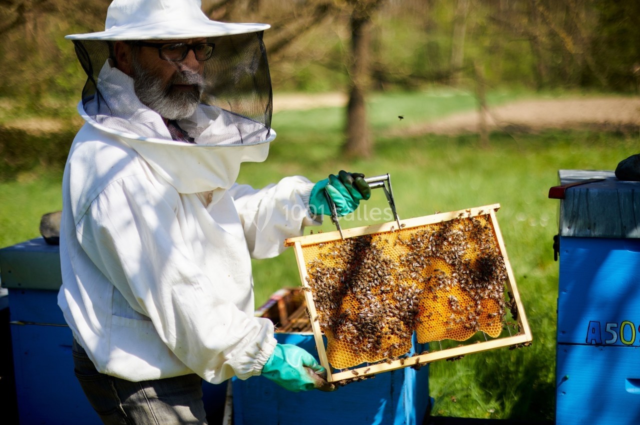 Apiculteur - Steeve Josch