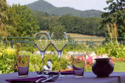 Location salle Jungholtz (Haut-Rhin) - Les Violettes #24