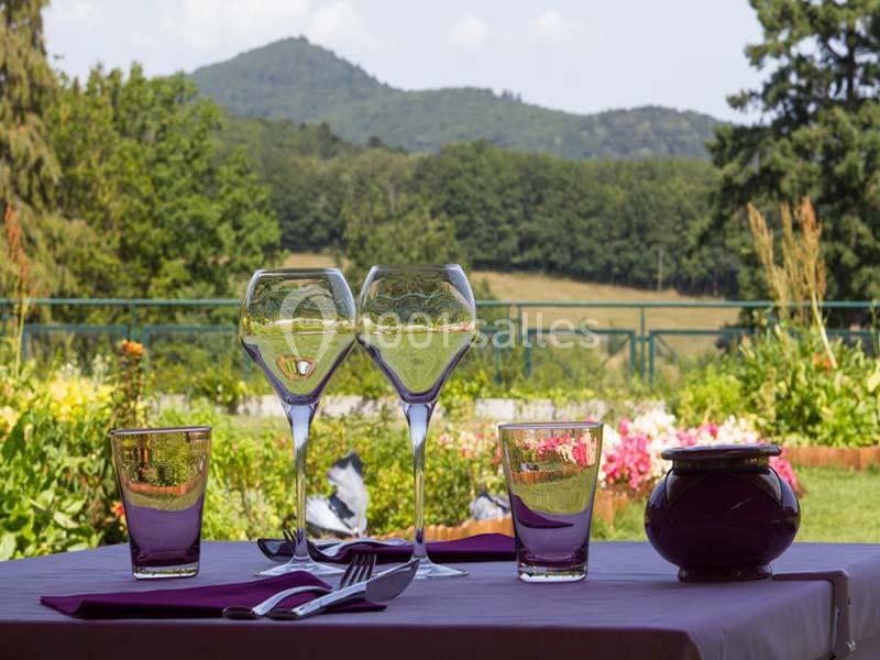 Location salle Jungholtz (Haut-Rhin) - Les Violettes #13