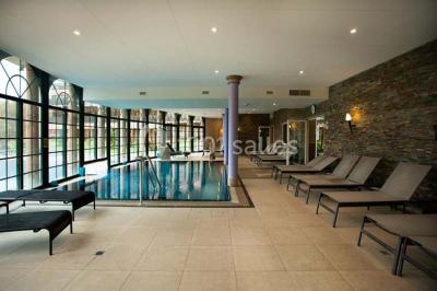 Location salle Jungholtz (Haut-Rhin) - Les Violettes #24