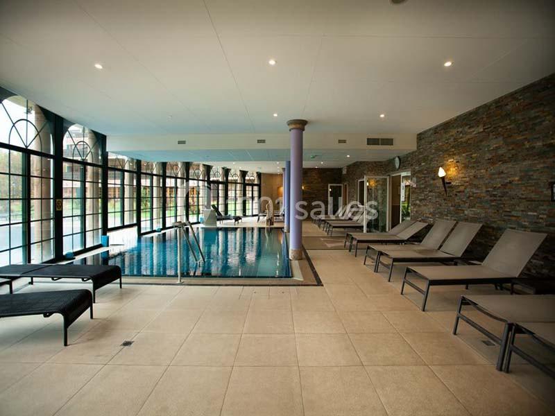 Location salle Jungholtz (Haut-Rhin) - Les Violettes #15