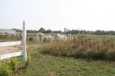 Location salle Aigues-Mortes (Gard) - Domaine De La Tour #10