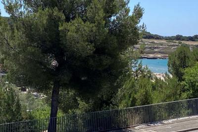 Location salle Martigues (Bouches-du-Rhône) - Le Domus - Le Palatino #24