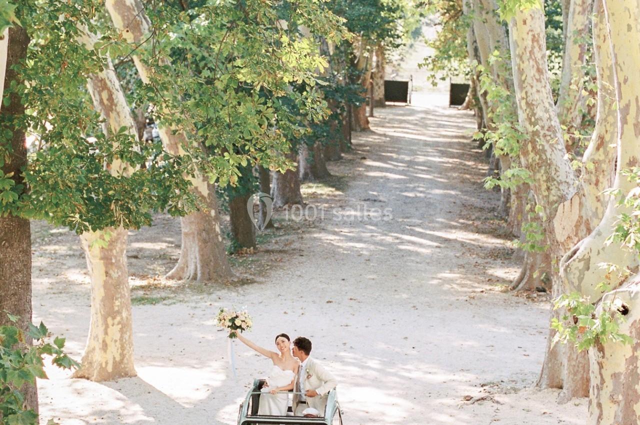 Un couple dans une voiture ancienne décapotable roule sur une allée bordée d'arbres sous un ciel dégagé.