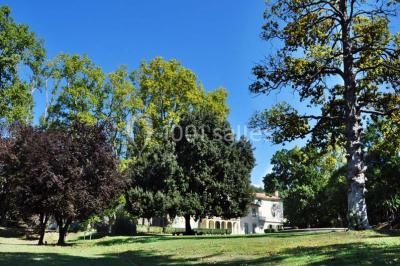 Deux lavabos avec miroir mural, sèche-mains mural blanc et décoration minimaliste dans une salle de bain moderne.