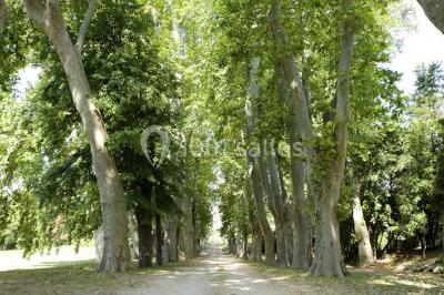 Deux lavabos avec miroir mural, sèche-mains mural blanc et décoration minimaliste dans une salle de bain moderne.
