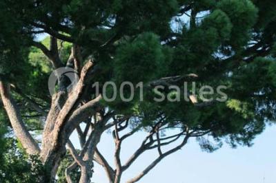 Location salle Nice (Alpes-Maritimes) - Villa Arson #15