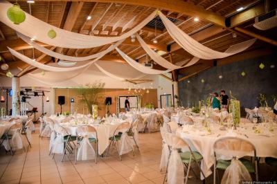 Vue d'une prairie verdoyante avec un grand arbre à gauche et des bâtiments ruraux sous un ciel dégagé.