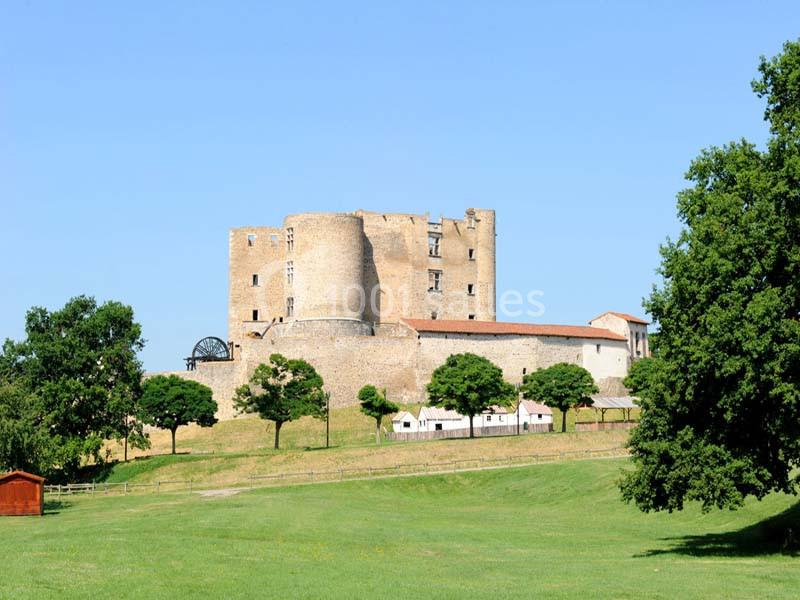 Château médiéval en pierre entouré de verdure, avec des bâtiments annexes et un ciel bleu dégagé.