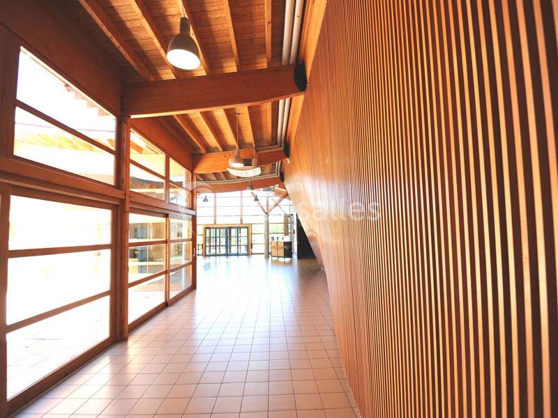 Couloir lumineux avec murs en bois, plafond en poutres apparentes et grandes fenêtres laissant entrer la lumière naturelle.