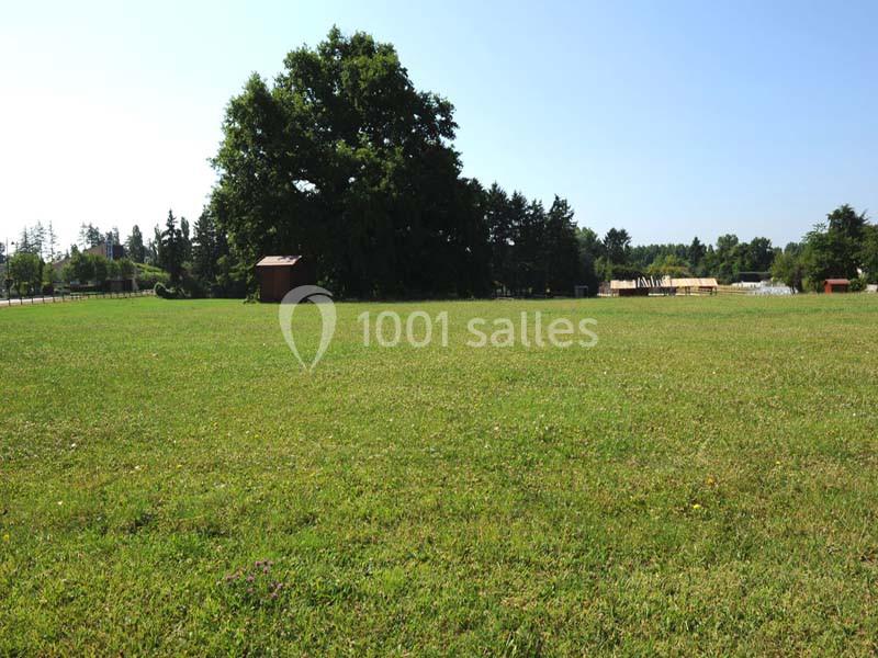 Une vaste prairie verte avec un grand arbre, une petite cabane en bois et des arbres en arrière-plan sous un ciel dégagé.