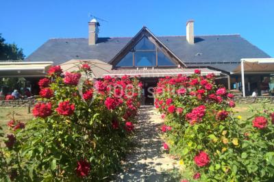 Salle à manger rustique avec table en bois dressée, mur en pierre apparente, étagères intégrées et cuisine ouverte.