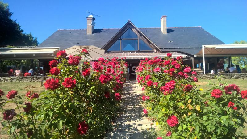 Allée bordée de rosiers rouges menant à une maison avec toit en ardoise sous un ciel bleu.