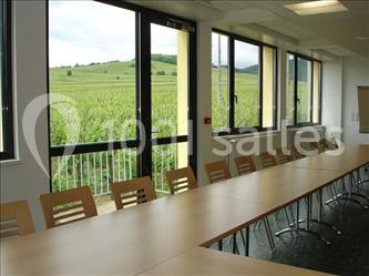Location salle Mittelwihr (Haut-Rhin) - Centre International de Séjour Mittelwihr #9