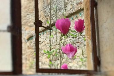 Deux voitures à pédales rétro sur un tapis rouge devant une tente tipi et un tableau noir dans un jardin.