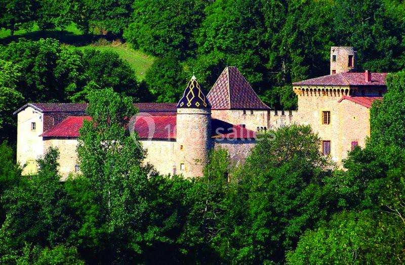 Vue d'un château ancien entouré de verdure, avec des tours et des toits en tuiles rouges.
