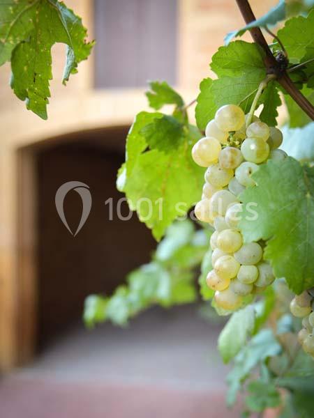 Location salle Denicé (Rhône) - Domaine des Sources #11