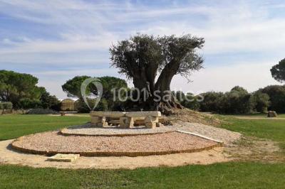 Miniature Location salle Fourques (Gard) - Salle de réception La Rose d'Argence #15 Petite chapelle en pierre éclairée par des lumières colorées dans un environnement nocturne.