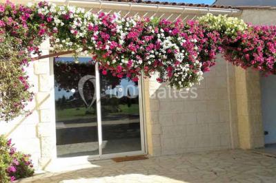 Miniature Location salle Fourques (Gard) - Salle de réception La Rose d'Argence #8 Petite chapelle en pierre éclairée par des lumières colorées dans un environnement nocturne.