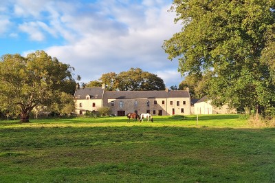Chambre lumineuse avec lit simple, commode verte, miroir, vase de pampas et fenêtre donnant sur un paysage verdoyant.