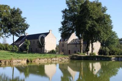Miniature Domaine de Bobehec Arbre majestueux au centre d'une prairie verdoyante, éclairé par le soleil filtrant à travers ses branches.