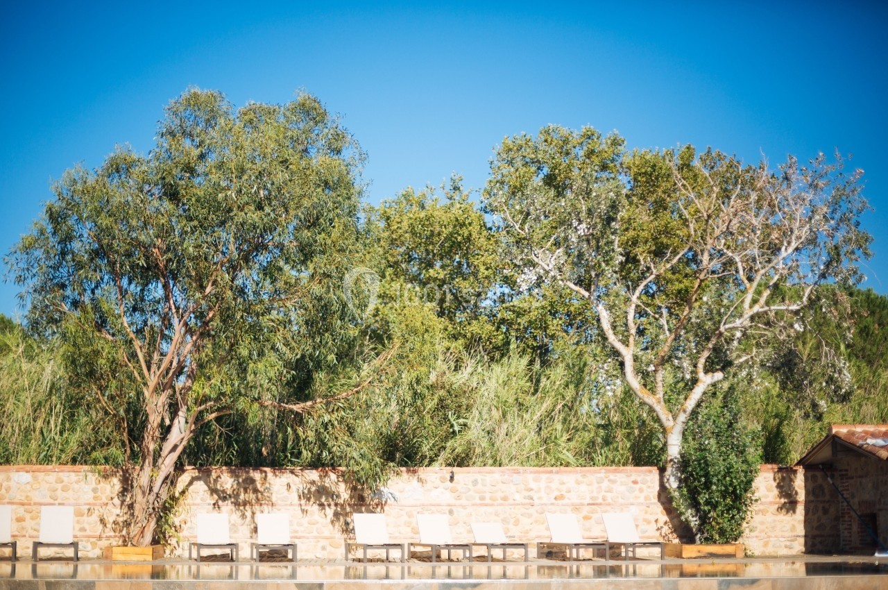 Chaises longues alignées devant un mur en pierre, entourées de grands arbres sous un ciel bleu clair.