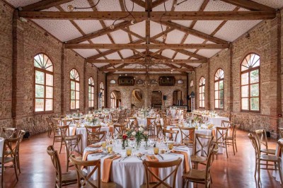 Chaises longues alignées devant un mur en pierre, entourées de grands arbres sous un ciel bleu clair.
