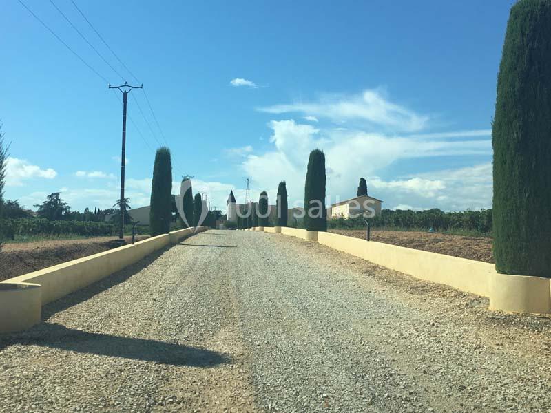 Allée gravillonnée bordée de cyprès menant à un bâtiment clair sous un ciel bleu.