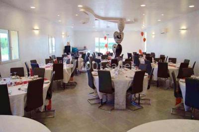 Vignes verdoyantes sous un ciel bleu dégagé, bordées d'arbres et d'un chemin de terre.