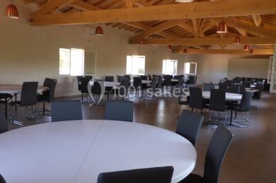 Vignes verdoyantes sous un ciel bleu dégagé, bordées d'arbres et d'un chemin de terre.
